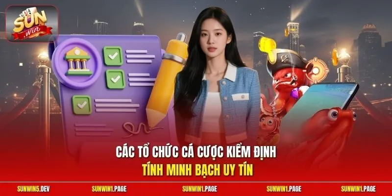 Các tổ chức cá cược kiểm định tính minh bạch uy tín