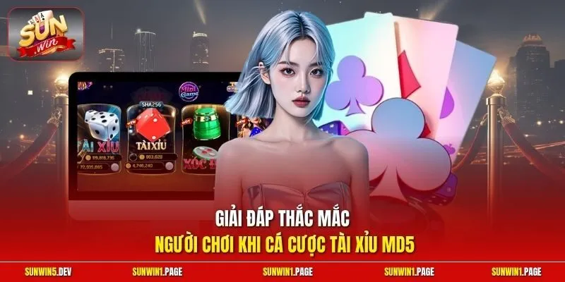 Giải đáp thắc mắc người chơi khi cá cược Tài Xỉu MD5